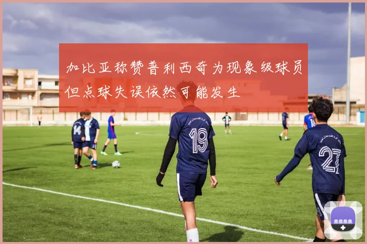 加比亚称赞普利西奇为现象级球员但点球失误依然可能发生