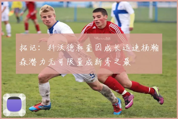 拓记：科沃德和奎因成长迅速杨瀚森潜力无可限量成新秀之最