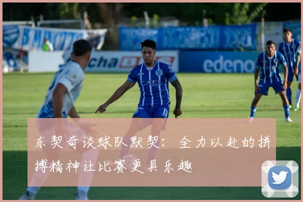 东契奇谈球队默契：全力以赴的拼搏精神让比赛更具乐趣