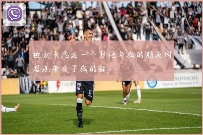 被麦卡甩后一个月他与我的朋友同居还带走了我的狗